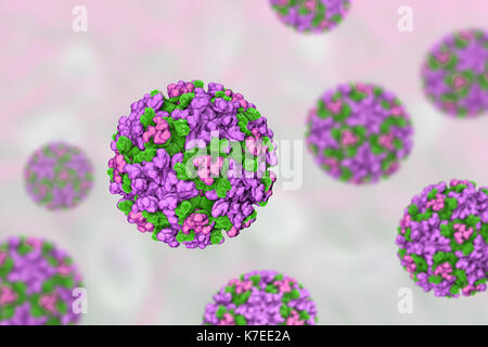 Eastern equine encephalitis virus, computer illustration. This is an RNA (ribonucleic acid) virus from the Alphavirus genus. It is an arbovirus (arthropod-borne virus) and is transmitted to humans, birds and horses by mosquito bite. Symptoms in humans range from mild flu-like symptoms to inflammation of the brain, coma, and death. Stock Photo