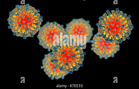 Measles virus particle, computer illustration. This virus, from the Morbillivirus group of viruses, consists of an RNA (ribonucleic acid) core surrounded by an envelope studded with surface proteins haemagglutinin-neuraminidase and fusion protein, which are used to attach to and penetrate a host cell. Measles is a highly infectious itchy rash with a fever. It mainly affects children, and one attack usually gives life-long immunity. Stock Photo