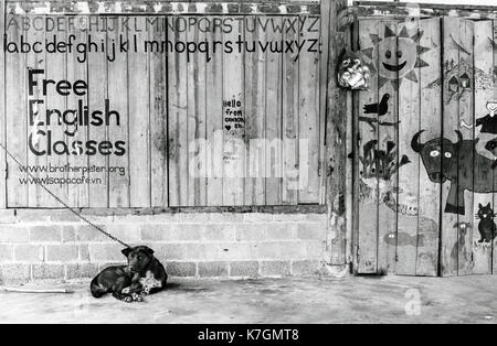 Dog tied outside classroom Stock Photo