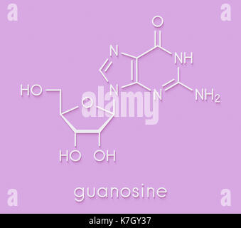 Guanosine purine nucleoside molecule. Important component of GTP, GDP, cGMP, GMP and RNA. Skeletal formula. Stock Photo
