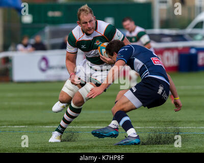 London, UK. 16th September, 2017. Mark Bright in action, Ealing Trailfinders v Bedford Blues in a Greene King IPA Championship match at Castle Bar, Vallis Way, West Ealing, London, England, on 16th September 2017 Final score  45-25 Credit: Lissy Tomlinson/Alamy Live News Stock Photo