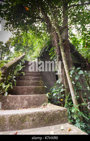 Starcase at the Secret Buddha Garden, Koh Samui, Thailand Stock Photo