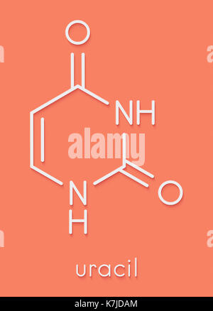 Uracil (U) nucleobase molecule. Present in ribonucleic acid (RNA). Skeletal formula. Stock Photo