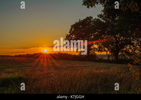 Amazing sunset over the fields, Kleinbettingen, Luxembourg Stock Photo