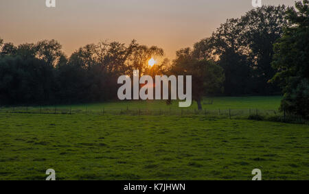Sunset over the fields, Kleinbettingen, Luxembourg Stock Photo
