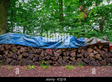 Cutted wooden for the winter Stock Photo