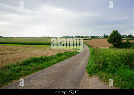 Long path goes between the fields, Kleinbettigen, Luxembourg Stock Photo