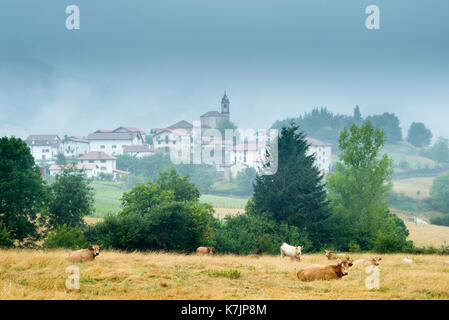 Cows in meadow and quaint Basque village of Beintza-Labaien in the mist, Basque Country, Spain Stock Photo
