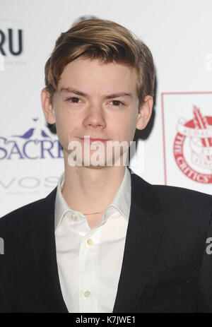 Thomas brodie sangster 2016 hi res stock photography and images