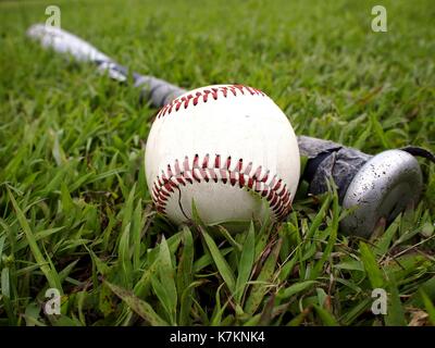 Photo of a baseball and a baseball bat on the grass Stock Photo