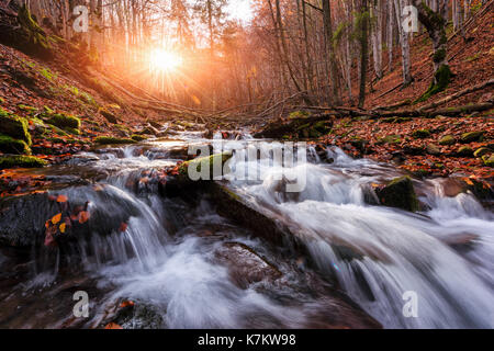 Beauty waterfall in autumn forest on sunset time. Carpathian mountains Stock Photo