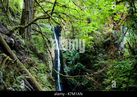 Niagara Falls - Goldstream Provincial Park - Victoria, Vancouver Island, British Columbia, Canada Stock Photo