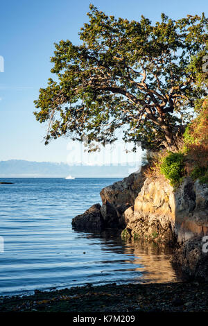 View from Saxe Point Park - Esquimalt, Victoria, Vancouver Island, British Columbia, Canada Stock Photo