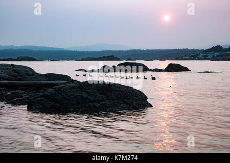 Saxe Point Saxe Point Park - Esquimalt, Victoria, Vancouver Island, British ...