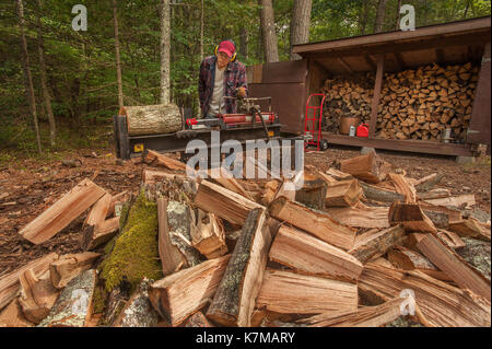 Older man using a log splitter Stock Photo