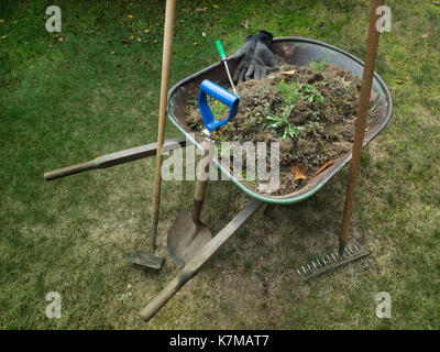 Wheelbarrow filled with lawn weeds Stock Photo