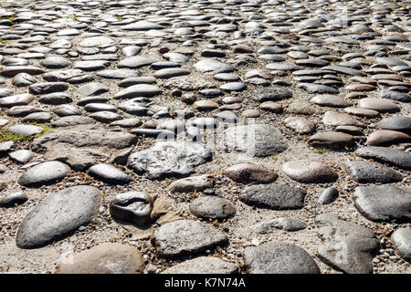 Charleston South Carolina,historic Downtown,Chalmers Street,cobblestone,SC170516001 Stock Photo