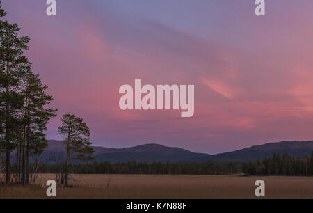 Pink sunset with view over field and mountains Stock Photo
