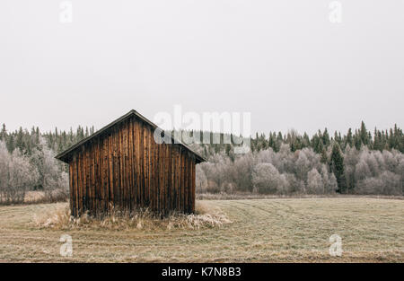 Old cabin in the woods Stock Photo