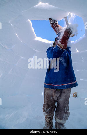 Inuit elder man, dressed in modern arctic clothing, builds igloo by carving  snow blocks and carefully placing them. This is a traditional shelter still  used by some Inuit today Stock Photo 