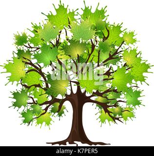 Tree maple, green foliage, white background Stock Vector