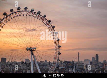 The London Eye, sunset. Stock Photo