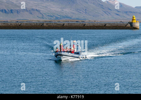 Small speed boat full of tourists is returning to Reykjavik port from a whale watching tour. Stock Photo