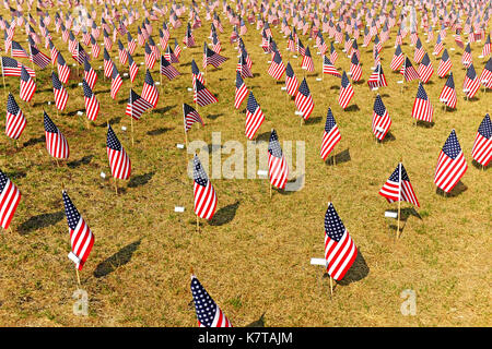 Dozens of USA flags are planted in rows outside the Cleveland FirstEnergy Football Stadium on opening day 2017. Stock Photo