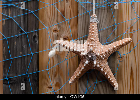 Starfish background with sea star and blue net on weathered timber planks, modern summer design and decoration Stock Photo