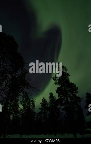 Ear shaped hole in the aurora at Muotkan Maja Wilderness Lodge near Saariselkä in Finnish Lapland Stock Photo