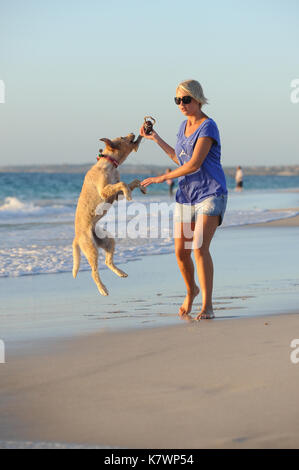 Young woman plays with her Golden Retriever on the beach Stock Photo