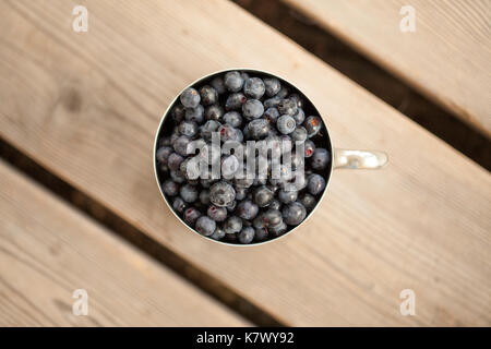 old scratched stainless steel mug  filled with freshly picked wild bilberry, wooden porch Stock Photo