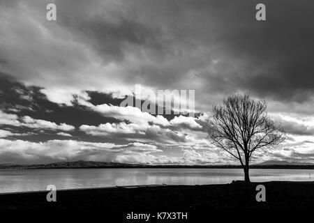 Tree on a lake shore, with overcast sky and some holes through the clouds Stock Photo