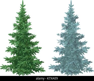 Christmas green and blue spruce fir trees Stock Vector