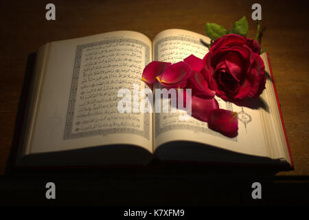 The sacred text of the Koran Stock Photo