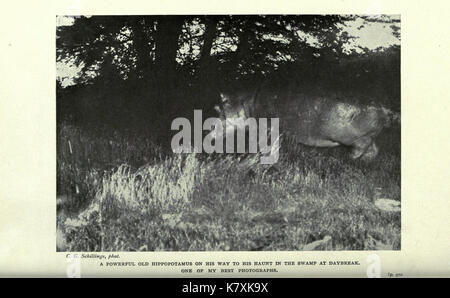 In wildest Africa BHL23041236 Stock Photo