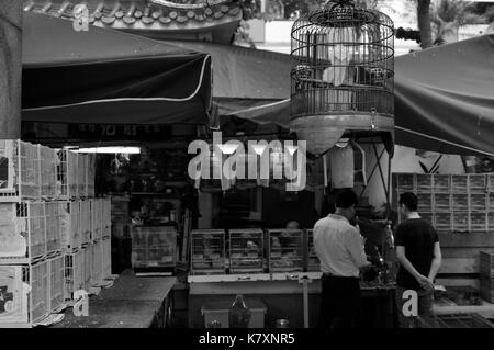 Yuen Po Bird Market - Hong Kong Stock Photo