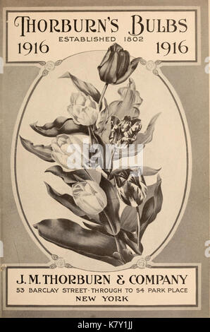 J.M. Thorburn and Co.'s annual descriptive catalogue of flower seeds (15147303539) Stock Photo