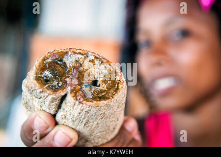 Young Malagasy woman holding petrified wood, Ambatoloaka, Nosy Be, Madagascar Stock Photo