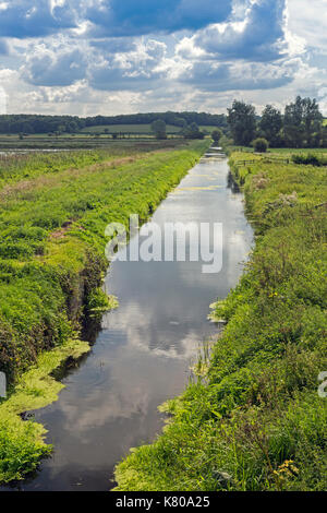 One of the ditches in the flooded peat workings that are now the RSPB Ham Wall Reserve, Somerset, England, UK Stock Photo