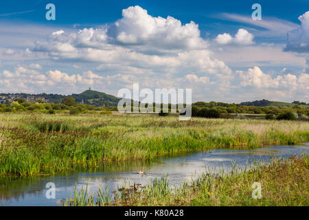 Glastonbury Tor viewed from the flooded peat workings that are now the RSPB Ham Wall Reserve, Somerset, England, UK Stock Photo