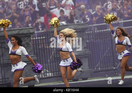 Cleveland Browns vs Baltimore Ravens at M&T Bank Stadium in Baltimore, MD on September 17, 2017. Cheerleaders take the field during pre-game introductions. Photo/ Mike Buscher/Cal Sport Media Stock Photo