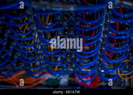 Cables in Server Cabinet Stock Photo