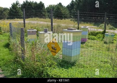 Bee Keeping Area Stock Photo