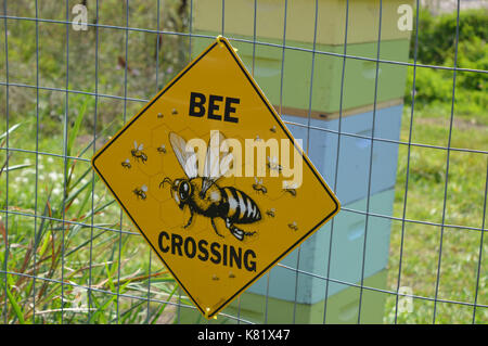 Bee Keeping Area Stock Photo