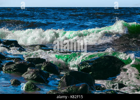 Summer ocean beach with green waves at sunny day Stock Photo