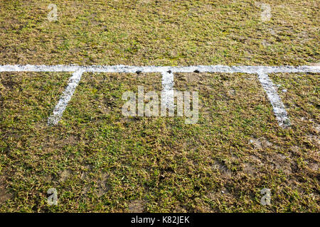 A cricket wicket and crease Stock Photo