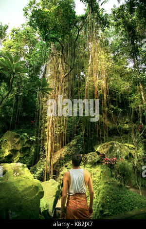 Young in the forest of Bali Indonesia Stock Photo