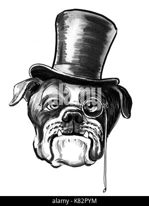 Bull dog in tall cylinder hat. Black and white illustration Stock Photo