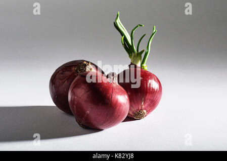 Red onion whole, isolated on white background Stock Photo